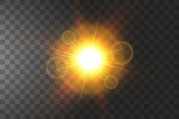 Vector shining golden stars isolated.