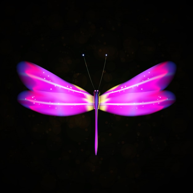 Vector shiny abstract dragonfly