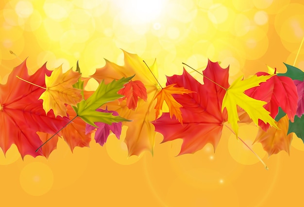 Shiny autumn natural leaves background. vector illustration eps10