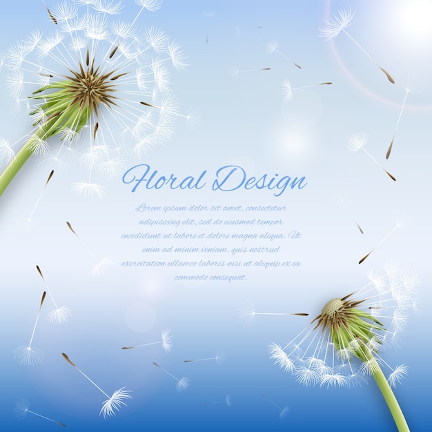 Vector shiny background with dandelions