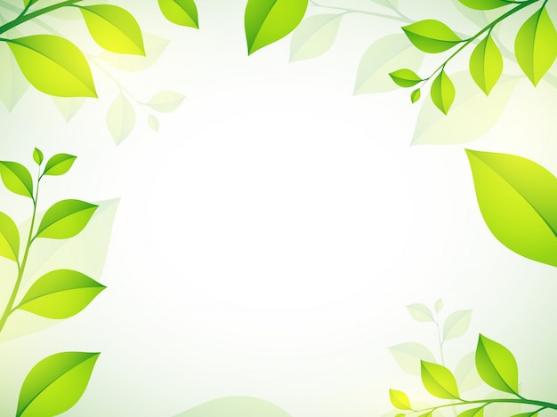 Premium Vector | Shiny green leaves on white background for nature concept.