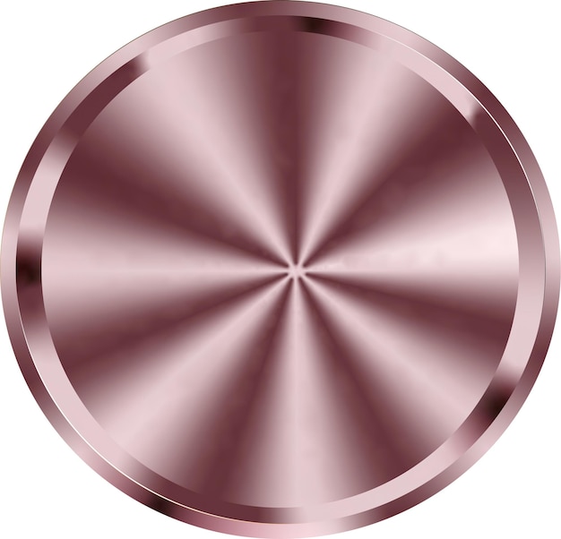 Shiny Rose Gold Coin Disk