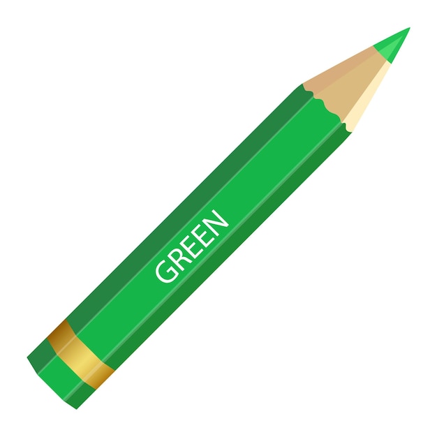 Short and thick green colour pencil isolated on white background realistic color pencil