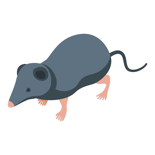 Shrew icon isometric vector African animal Mammal tail