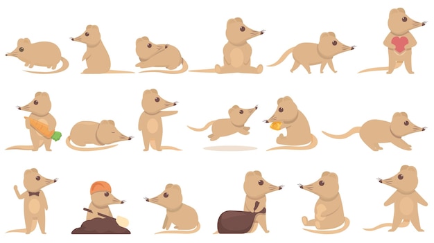 Vector shrew icons set cartoon vector agriculture animal