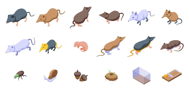 Shrew icons set isometric vector Domestic agriculture