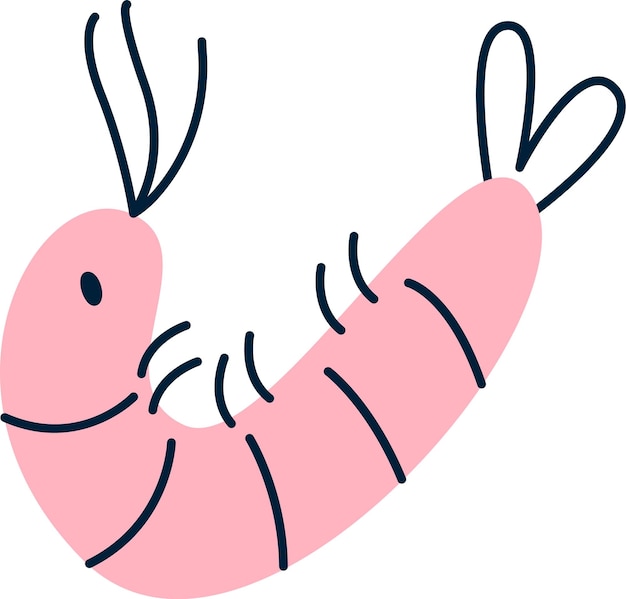 Vector shrimp childish mollusk