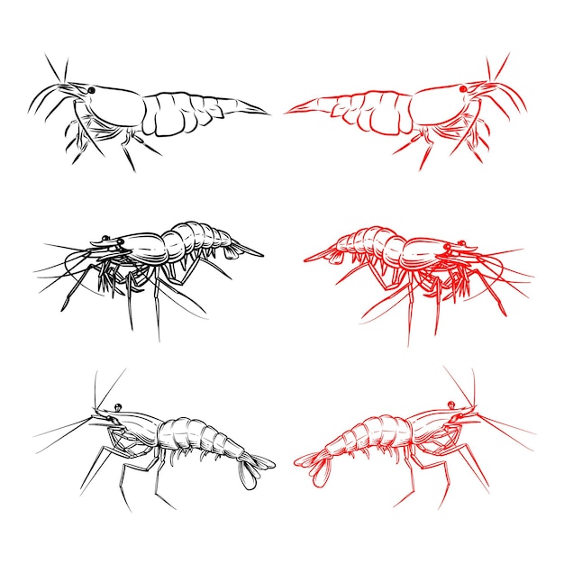 shrimp design logo illustration