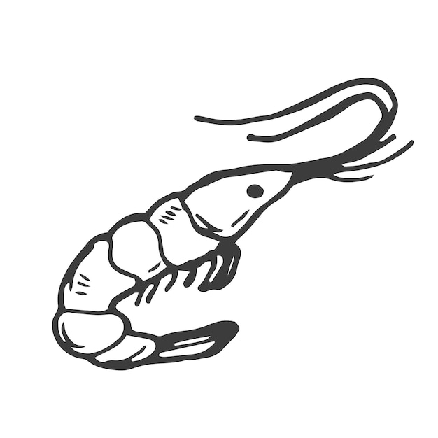 Simbolo del doodle dei gamberetti design del logo dei gamberetti logo dei frutti di mare
