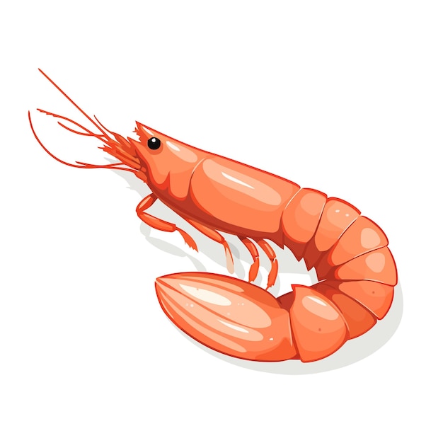 Vector shrimp image isolated shrimp icon cute red prawn in flat design vector illustration