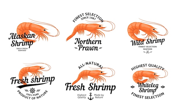 Vector shrimp logo and shrimp illustrations