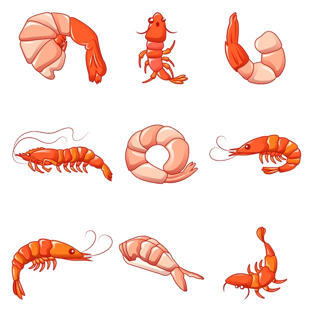 Vector shrimp prawn cooked icons set