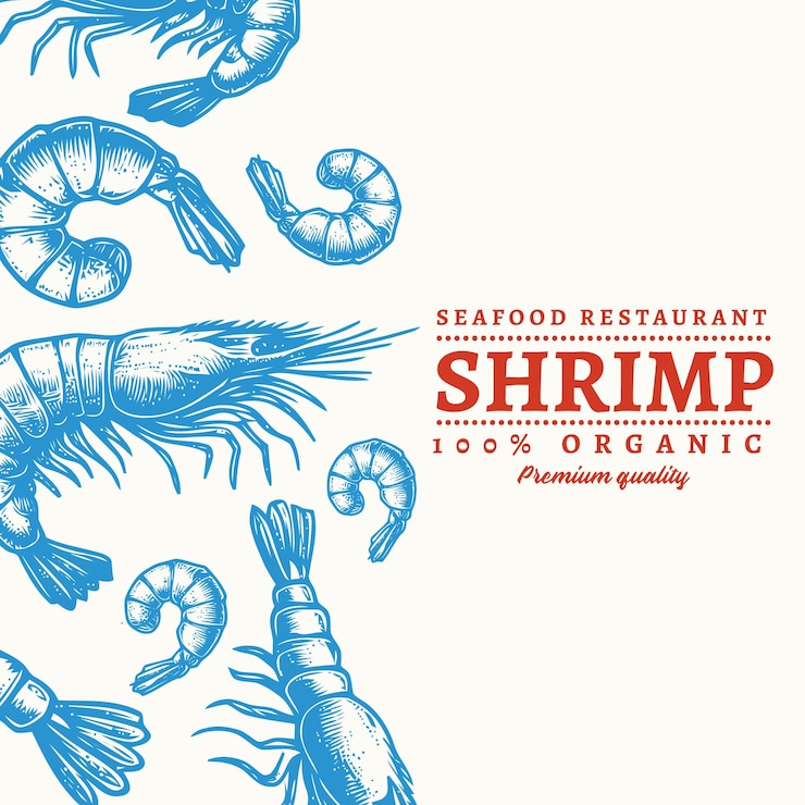 Vector shrimp seafood restaurant engraved style food banner