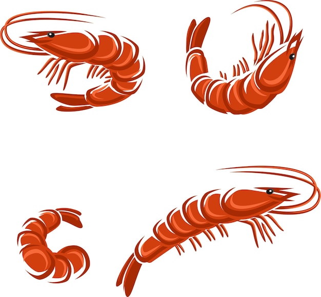 Vector shrimp set vector