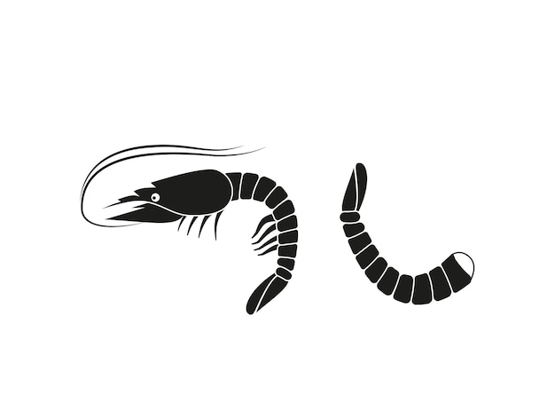 Shrimp silhouette Isolated shrimp on white background Prawns