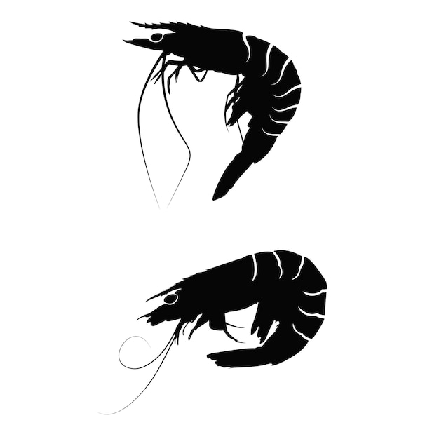 Vector shrimp svg fish svg