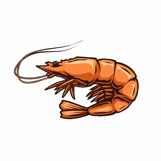 Vector shrimp vector design
