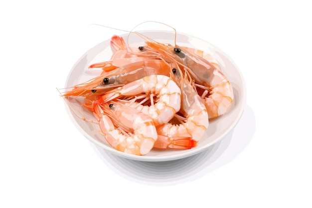 Disegno illustrativo di shrimp vector