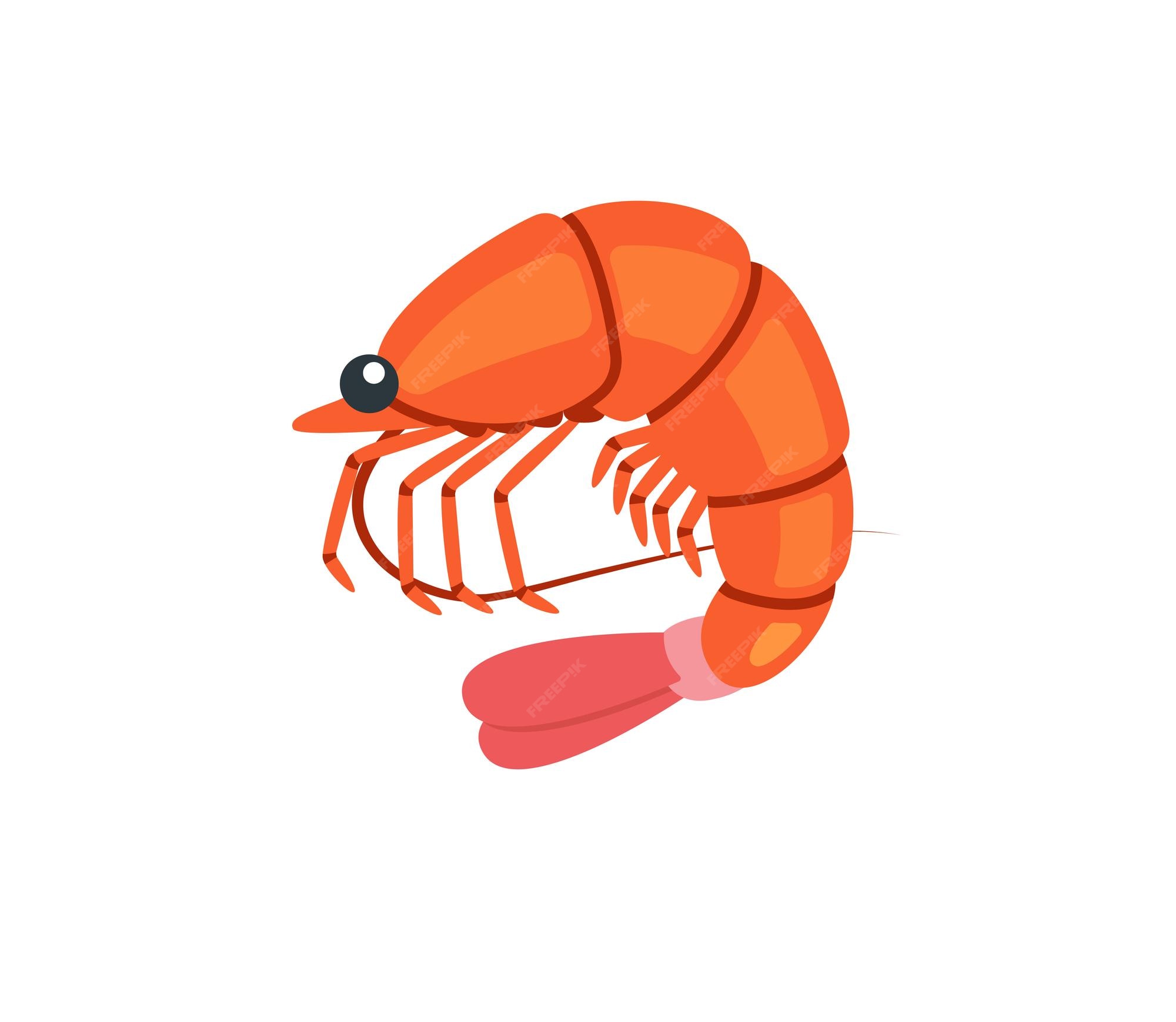 Premium Vector Shrimp vector isolated icon. Emoji illustration. Shrimp vector emoticon