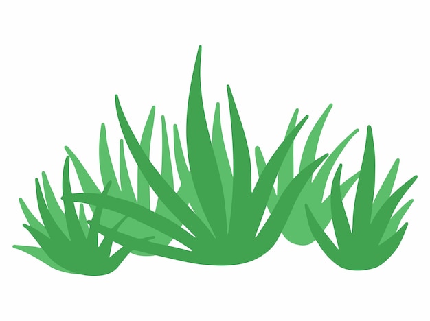 Vector shrub bush illustration