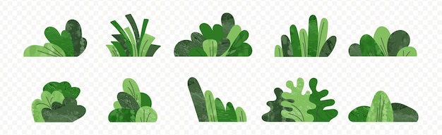 Vector shrub bush shrubbery tree simple flat cartoon vector illustration green garden plant collage isolated on transparent background eco element textured foliage stylized ecology decorative object