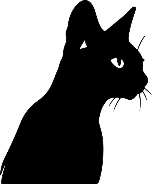 Siamese Cat black silhouette with transparent background