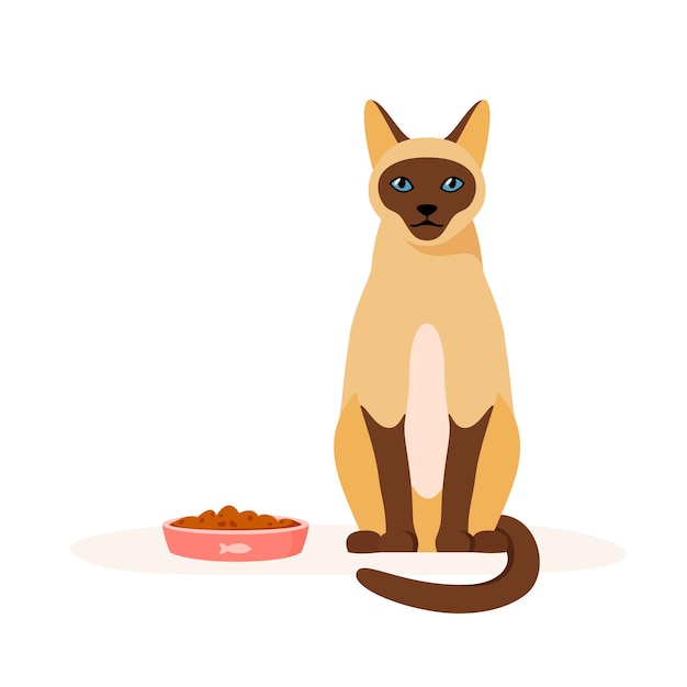 Сиамский кот и миска с едой. Домашняя кошка не ест сухой корм. Проблема с кормлением питомца