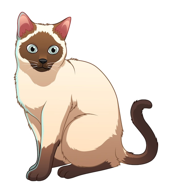 Vector siamese cat cartoon animal illustration