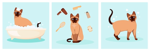 Siamese cat washes in the bathroom grooming cartoon design vector illustration