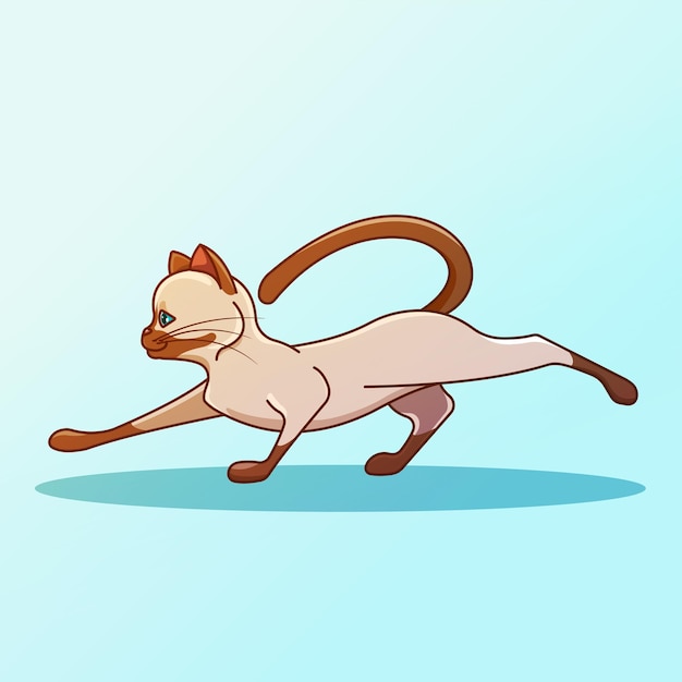 Vector siamese cat yoga stretch