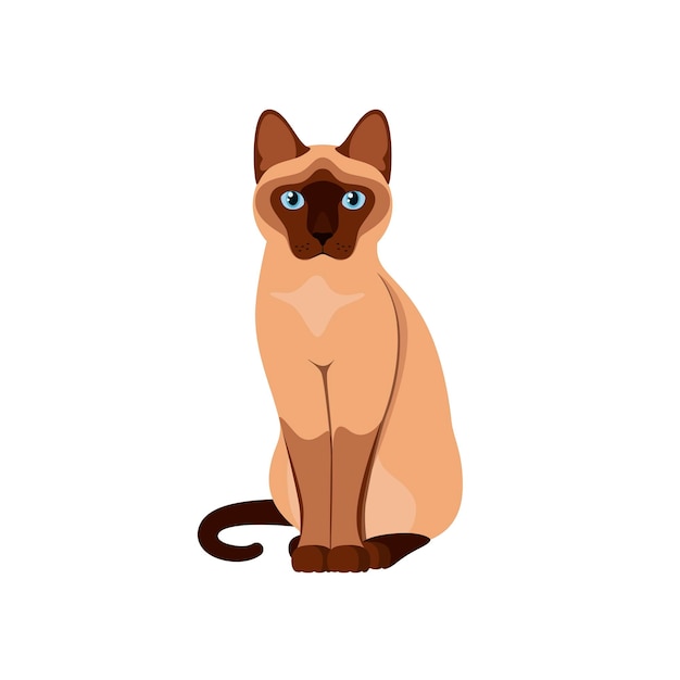 Siamese kat op een witte achtergrond Cartoon design