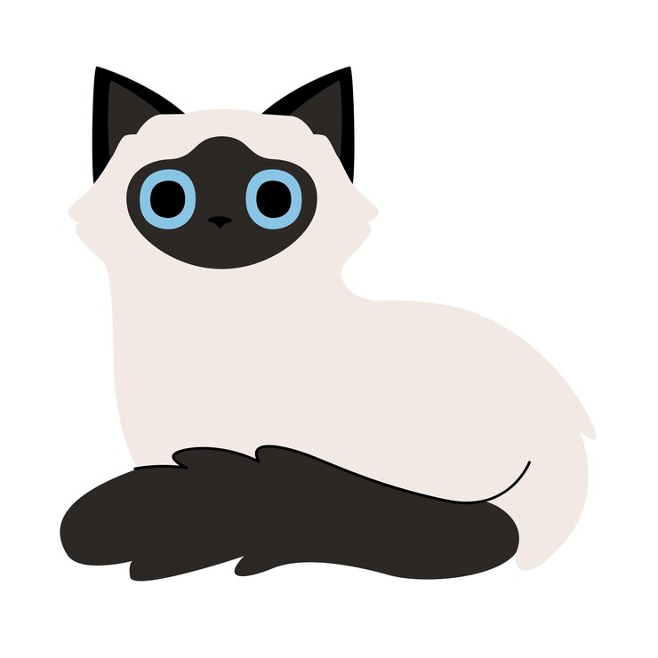 Vector シアムキットンの可愛いふわふわの青い目猫のイラスト
