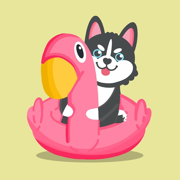 Siberian husky dog on rubber duck