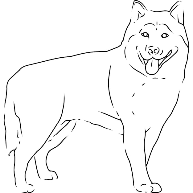 Siberian Husky Hand sketched hand drawn vector clipart