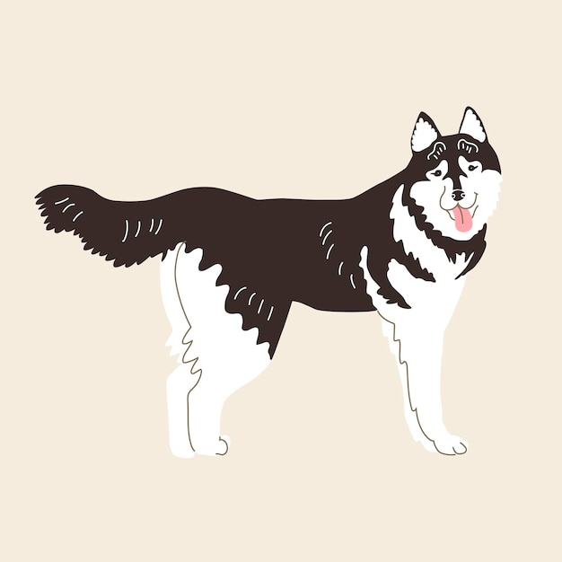 Vector siberische husky. vector illustratie. platte stijl. geïsoleerd op lichte achtergrond. heupdieren, hondsdolheid, brood, aaien, trouwe viervoeter. ontwerp voor spelden, stickers, dierentuin, dierenwinkel.