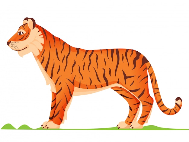 Premium Vector | Side view cartoon tiger in orange and brown color. Premium Vector | Side view cartoon tiger in orange and brown color.