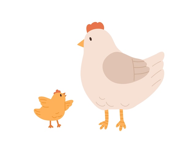 Side view of cute hen and yellow chicken isolated on white background. Mom listen to funny baby bird flapping its wings. Colored flat vector illustration.