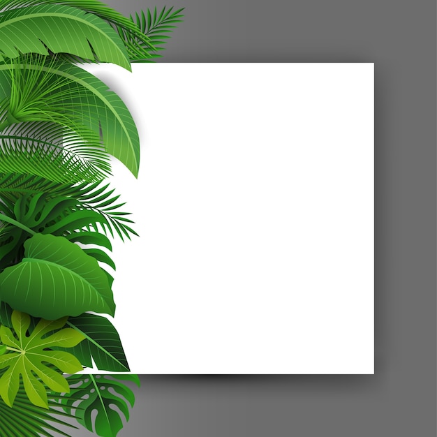 Sign with text space of tropical leaves