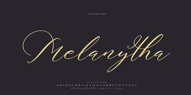 Signature font calligraphy logotype script brush font type font lettering handwritten