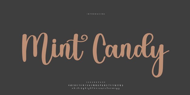 signature Font Calligraphy Logotype Script Brush Font Type Font lettering handwritten