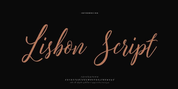 signature Font Calligraphy Logotype Script Brush Font Type Font lettering handwritten