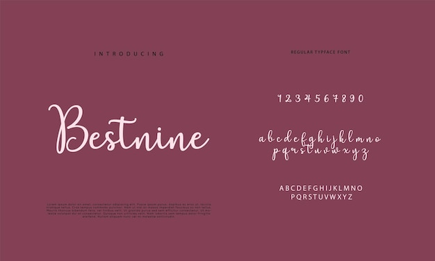 Signature Font Calligraphy Logotype Script Brush Font Type Font lettering handwritten