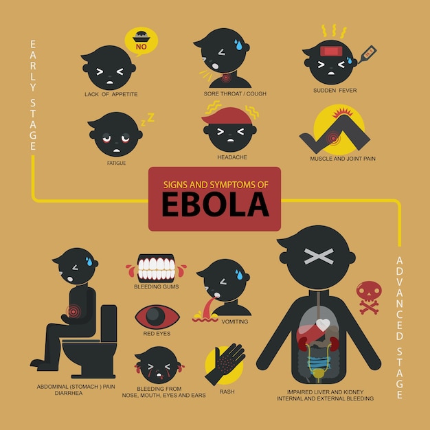 Ebola infographicの兆候と症状