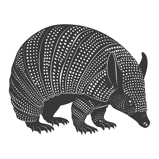 Vector silhouet armadillo dier zwarte kleur alleen volledig lichaam