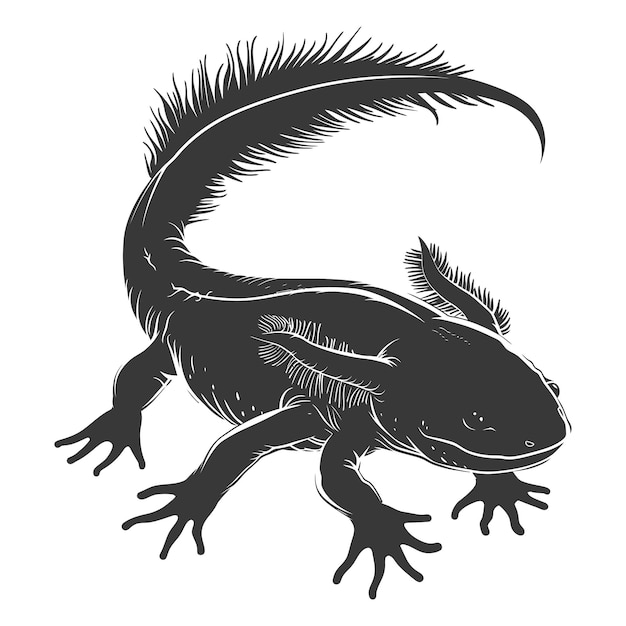 Silhouet Axolotl dier zwarte kleur alleen vol