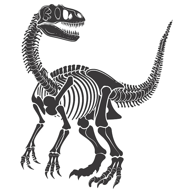 Silhouet Dinosaurus skelet alleen zwarte kleur