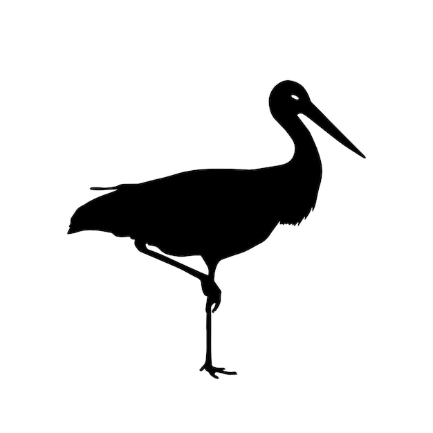 Vector silhouet flamingo