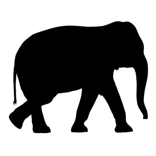 Silhouet grote Afrikaanse olifant op een witte achtergrond