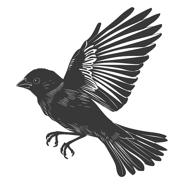 Silhouet Huis mus vogel dier vlieg zwarte kleur alleen