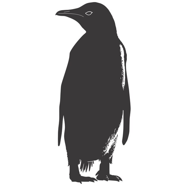 Vector silhouet pinguïn zwarte kleur alleen volledig lichaam